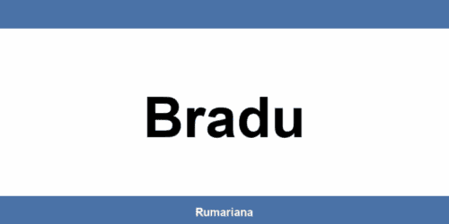 Informații sediu GLS din Bradu