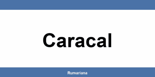 Informații sediu GLS din Caracal